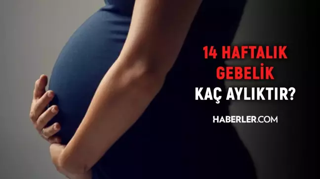14 haftalık gebelik kaç aylık oluyor? Hamilelikte doğru bilinen yanlışlar!