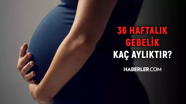 36 haftalık gebelik kaç aylık oluyor? Hamilelikte doğru bilinen yanlışlar!