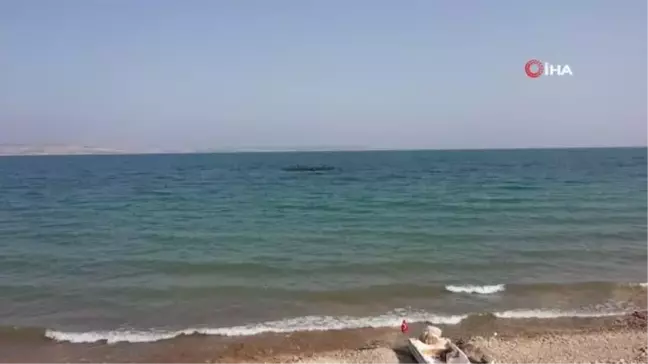 Şanlıurfa'da balık tutma yarışması renkli görüntülere sahne oldu