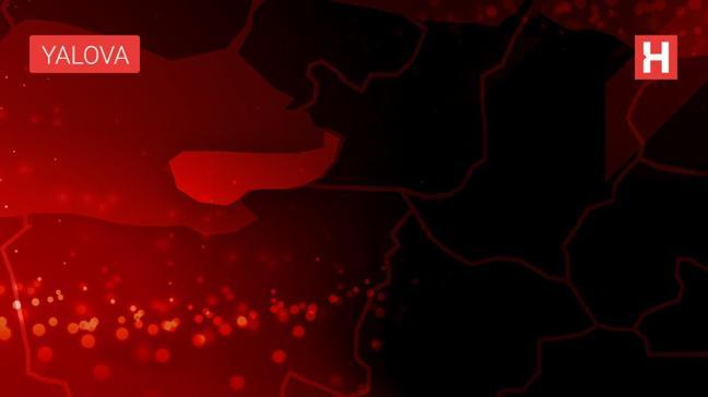 Yalova'da trafik kazasında 1 kişi yaralandı
