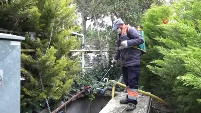 Kuşadası'nda vektörle mücadele devam ediyor