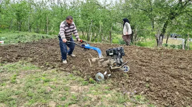 Tarım işçisinin Ramazan'da zorlu mesaisi