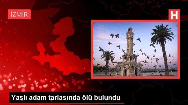 Yaşlı adam tarlasında ölü bulundu
