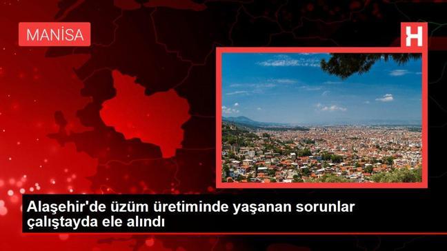 Alaşehir'de üzüm üretiminde yaşanan sorunlar çalıştayda ele alındı