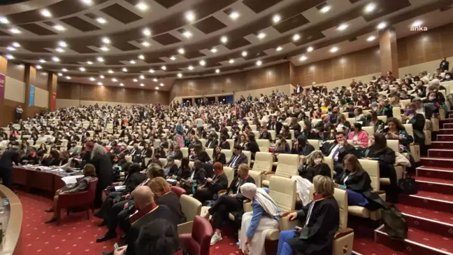 İstanbul Sözleşmesi Danıştay'da. Erinç Sağkan: