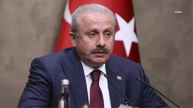 Mustafa Şentop: