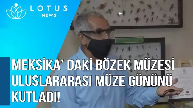 Video: Meksika'daki Böcek Müzesi, Uluslararası Müze Günü'nü Kutladı