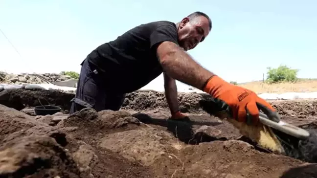 İsrail'de Antik Tarım Çiftliği Bulundu