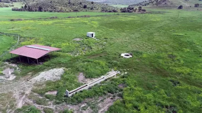 Muğla'da 4 yılda 19 bin dekar mera ıslahı yapıldı