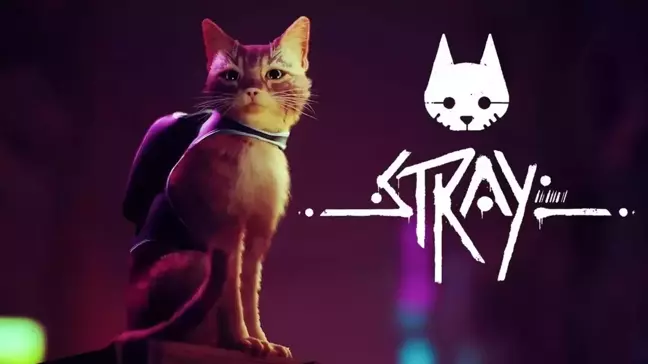 Stray sistem gereksinimleri neler? Stray kaç GB? Stray kaç TL?