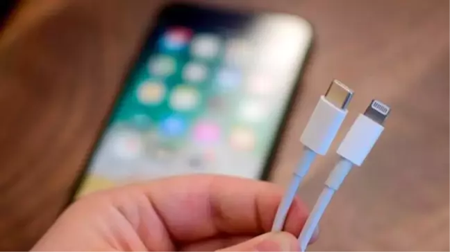 Avrupa'dan sonra ABD, iPhone'ların şarj girişine el attı!