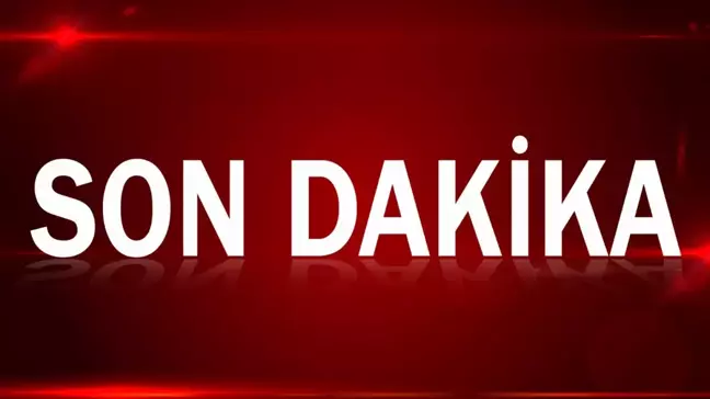 Son dakika haberi... 19. Akdeniz Oyunları'nda Adem Asil, altın madalya kazandı