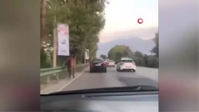 Anayolda gezen başıboş atlar tehlike saçıyor