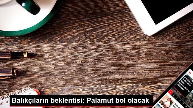 Balıkçıların beklentisi: Palamut bol olacak