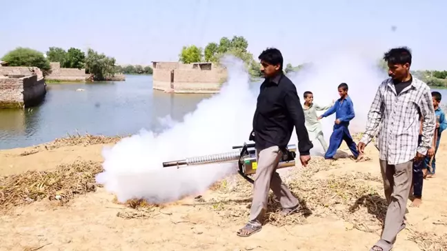 Pakistan'da Dang Humması Vaka Sayısı Artıyor