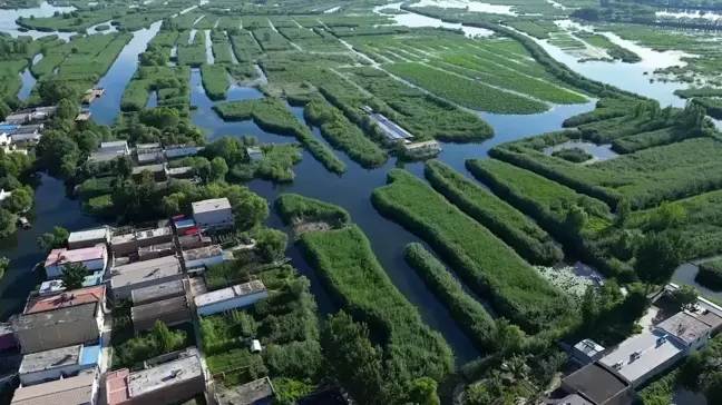 Çin'in Kuzeyinde Sulak Alan Ekosistemini Korumak İçin Yeni Teknolojiler Uygulanıyor
