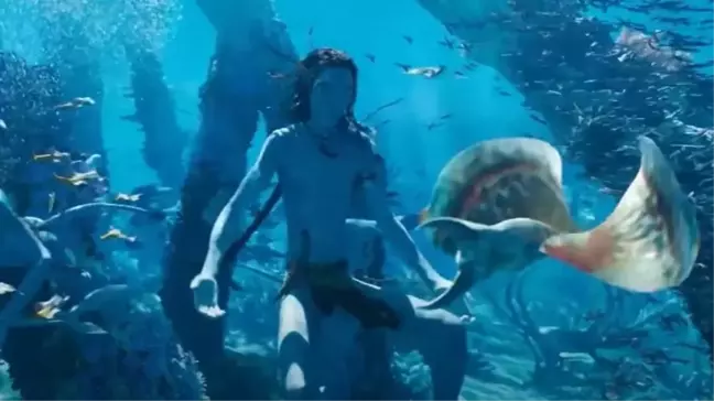 Avatar Suyun Yolu kaç yaş üstü? Avatar 2 kaç yaş üstü, yaş sınırı kaç?