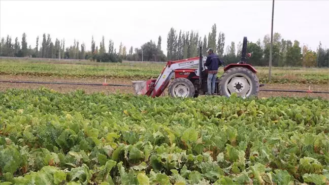 2023 Gübre ve yem fiyatlarına zam geldi mi? 2023 Gübre ve yem fiyatları ne kadar oldu, kaç TL?