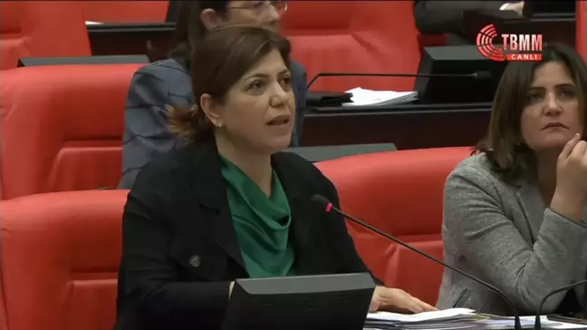 Meral Danış Beştaş'tan Seçmenlere Çağrı: