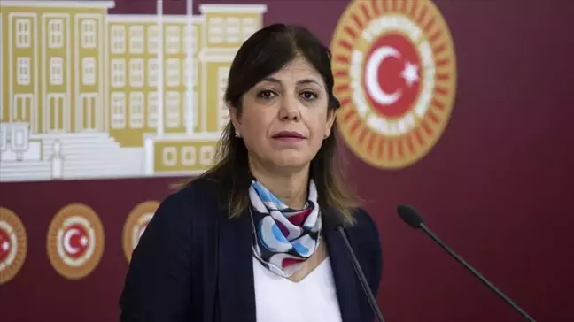 Meral Danış Beştaş kimdir? Kaç yaşında, nereli, mesleği ne, hangi partili? Meral Danış Beştaş'ın hayatı ve biyografisi!