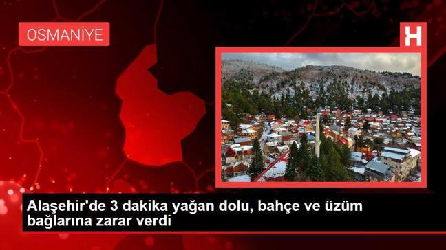 Alaşehir'de 3 dakika yağan dolu, bahçe ve üzüm bağlarına zarar verdi