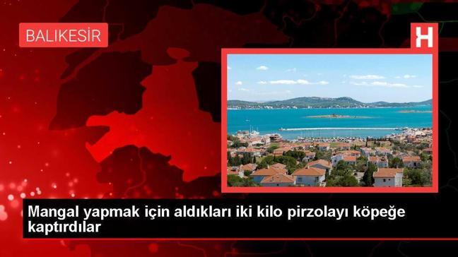 Balıkesir'de köpek, esnafların mangal için aldığı eti kapıp kaçırdı