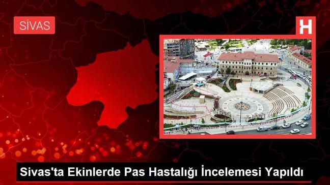 Sivas'ta Ekinlerde Pas Hastalığı İncelemesi Yapıldı