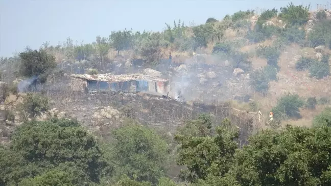 Çanakkale'de Makilik Alanda Yangın: 30 Dönüm Alan Zarar Gördü