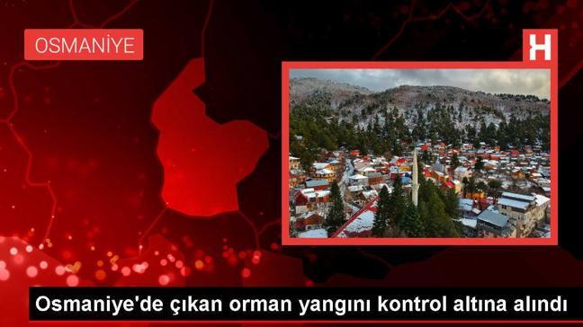 Osmaniye'de çıkan orman yangını kontrol altına alındı