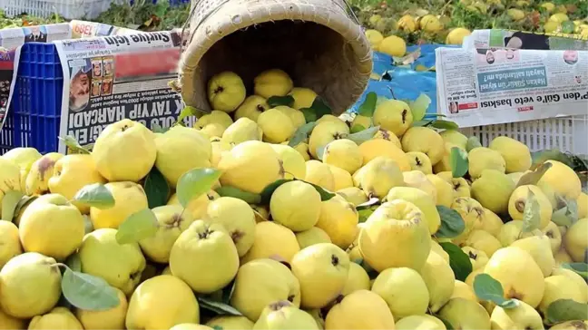 Ayva Reçeli nasıl yapılır? Ayva Reçeli tarifi, Ayva Reçeli nasıl yapılır ev yapımı? Ayva Reçeli nasıl yapılır püf noktaları nelerdir?