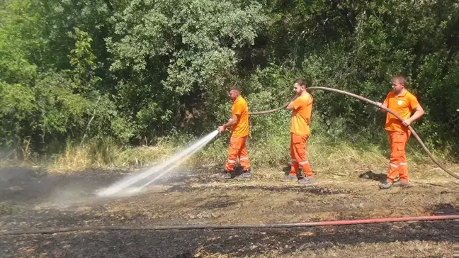 Taraklı'da çıkan yangın kontrol altına alındı