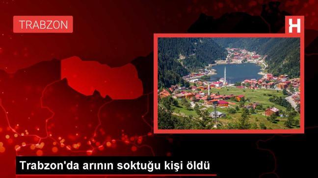 Trabzon'da arının soktuğu kişi öldü