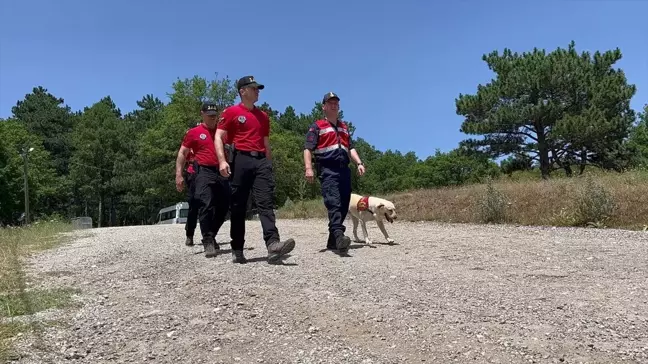 Uludağ'da Orman Yangınlarına Karşı Jandarma Devriyesi