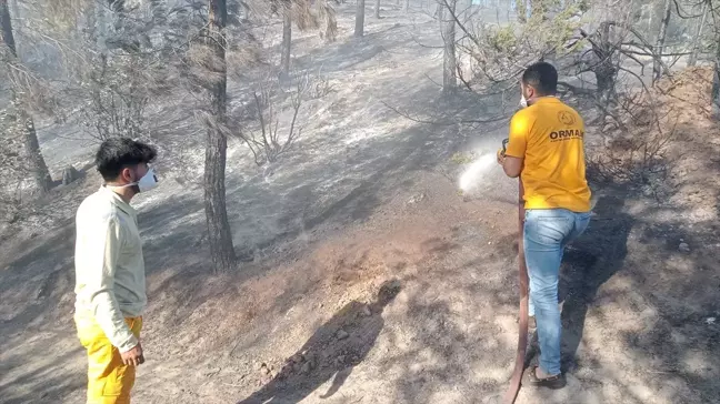 Adana'da çıkan orman yangını kontrol altına alındı