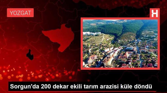 Sorgun'da 200 dekar ekili tarım arazisi küle döndü