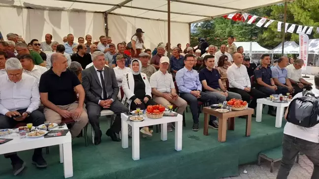 Antalya'da Eskihisar Köyü Domates Festivali Başladı