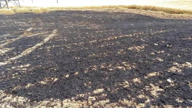 Beypazarı'nda çıkan anız yangını itfaiye ekipleri tarafından söndürüldü