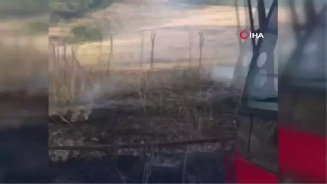 Tunceli'de otluk alanda çıkan yangın, ormanlık alana sıçramadan söndürüldü