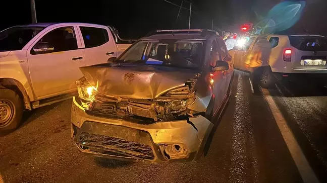 Van'da koyun sürüsüne çarpan otomobilde 2 kişi yaralandı
