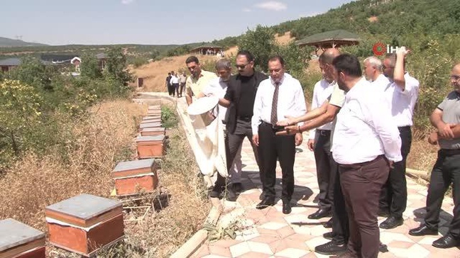 Bingöl Balı Hasat Dönemi Başladı