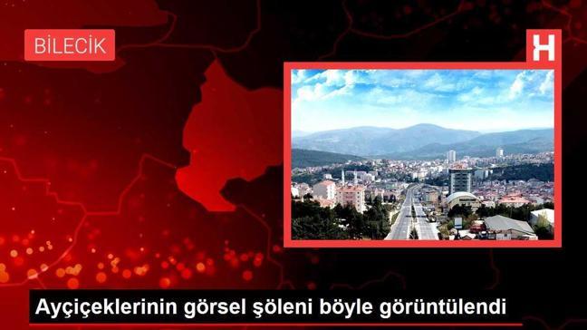 Ayçiçeklerinin görsel şöleni böyle görüntülendi