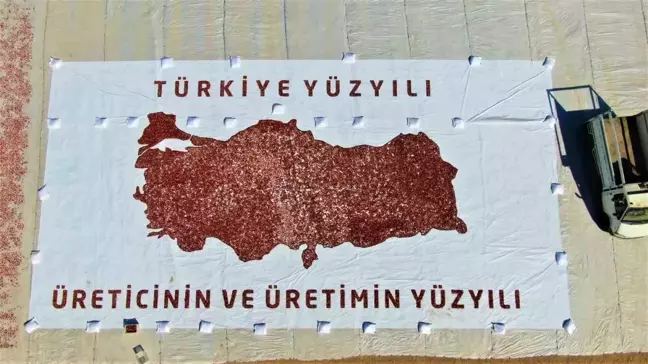 Elazığ'da Kurutmalık ve Salçalık Domates Hasadı Etkinliği Düzenlendi