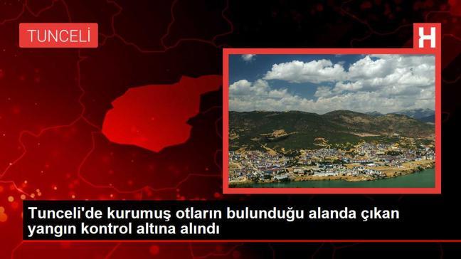 Tunceli'de kurumuş otların bulunduğu alanda çıkan yangın kontrol altına alındı
