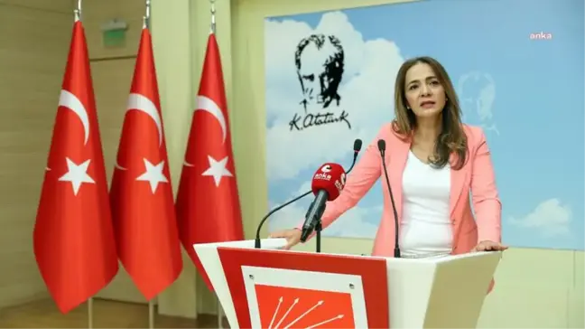 Gamze Akkuş İlgezdi: