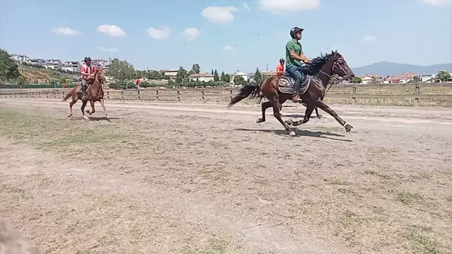 Kocaeli'de Rahvan At Yarışları gerçekleştirildi