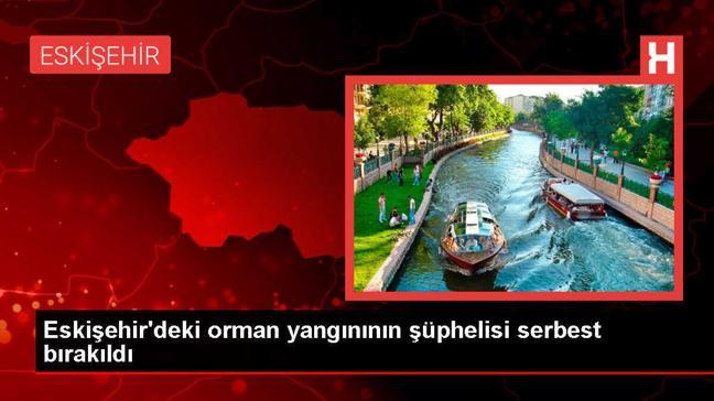 Eskişehir'de Orman Yangınına İhmal İddiasıyla Gözaltına Alınan Şüpheli Serbest Bırakıldı