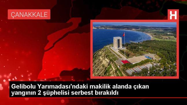 Gelibolu Yarımadası'ndaki yangınla ilgili gözaltına alınan 2 zanlı serbest bırakıldı