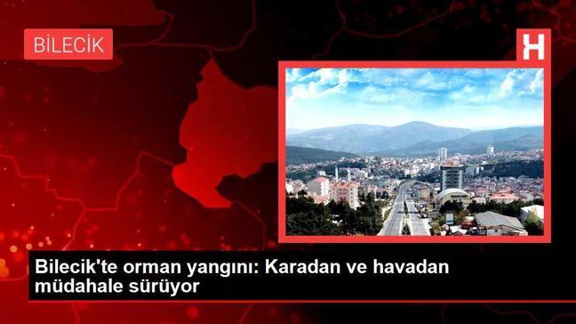 Bilecik'te orman yangını: Karadan ve havadan müdahale sürüyor
