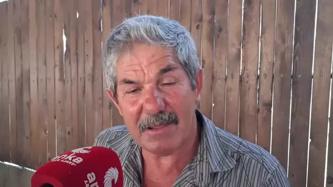 Ardanuçlu Pazarcı:
