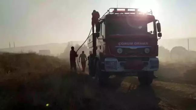 Çorum'un Alaca ilçesinde 15 bin dönüm arazi çıkan yangında kül oldu